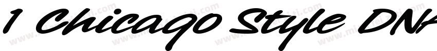 1 Chicago Style DNA Regular字体转换